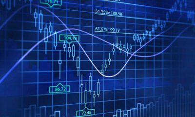 Mixed Integer Programming (MIP)