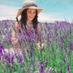 Lavender Farms