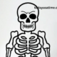 drawing9qs9xgbv4jo= skeleton